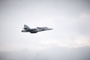 На Gripen быстрее всего учатся, отметил Зеленский
