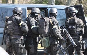 Украинцы задержаны на три месяца