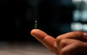 Самая маленькая в мире пивная бутылка выглядит так, будто ее сгенерировал искусственный интеллект