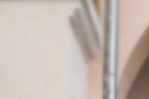 Ступка сейчас находится на гастролях в Праге