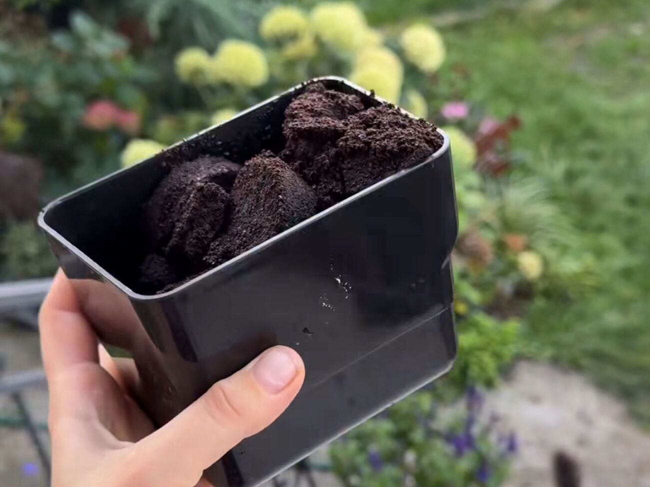 Садівники вірять у міфи, що кавова гуща – корисна