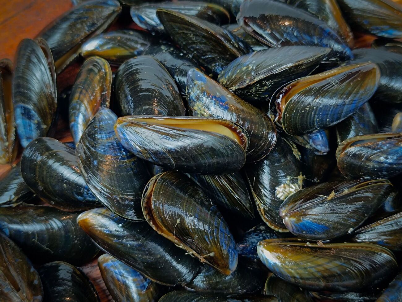 Мушлі треба спершу добре зачистити