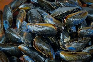 Мушлі треба спершу добре зачистити