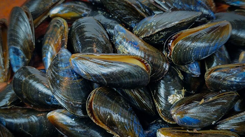 Мушлі треба спершу добре зачистити