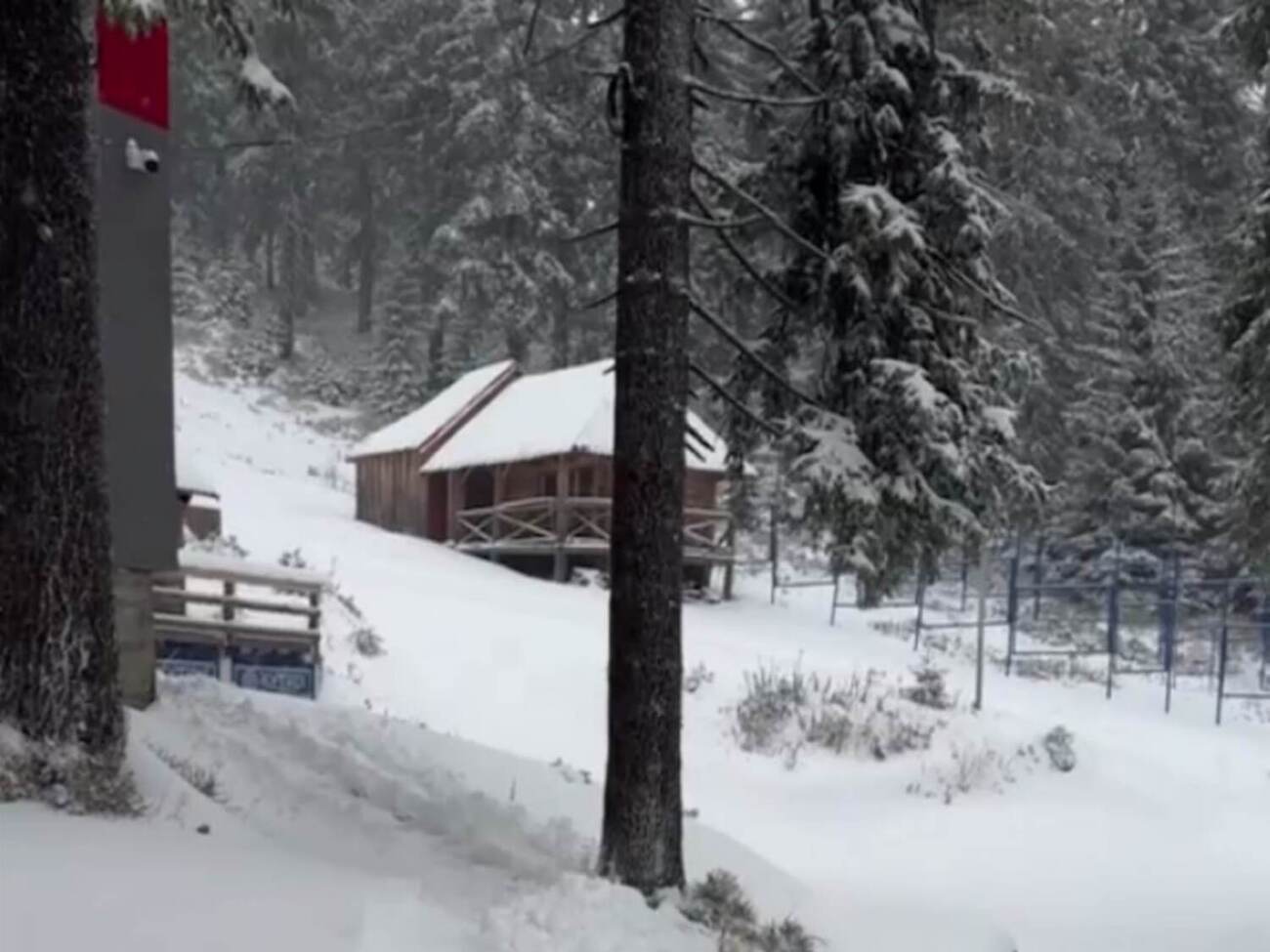 Автор видео из заснеженного Драгобрата советует готовить "лыжи, борды и санки", ведь "зима уже рядом"