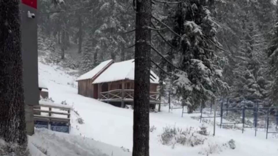 Автор відео із засніженого Драгобрату радить готувати "лижі, борди й санки", адже "зима вже поряд"