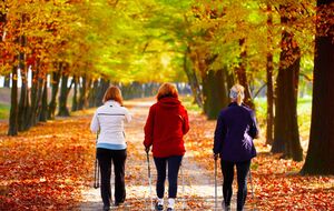 Исследователи выяснили, как продолжительность прогулок влияет на здоровье