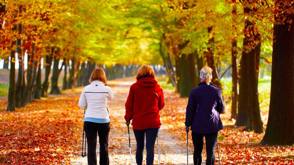 Исследователи выяснили, как продолжительность прогулок влияет на здоровье
