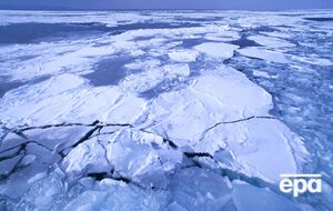 Під арктичним льодом зафіксували активність ціанобактерій