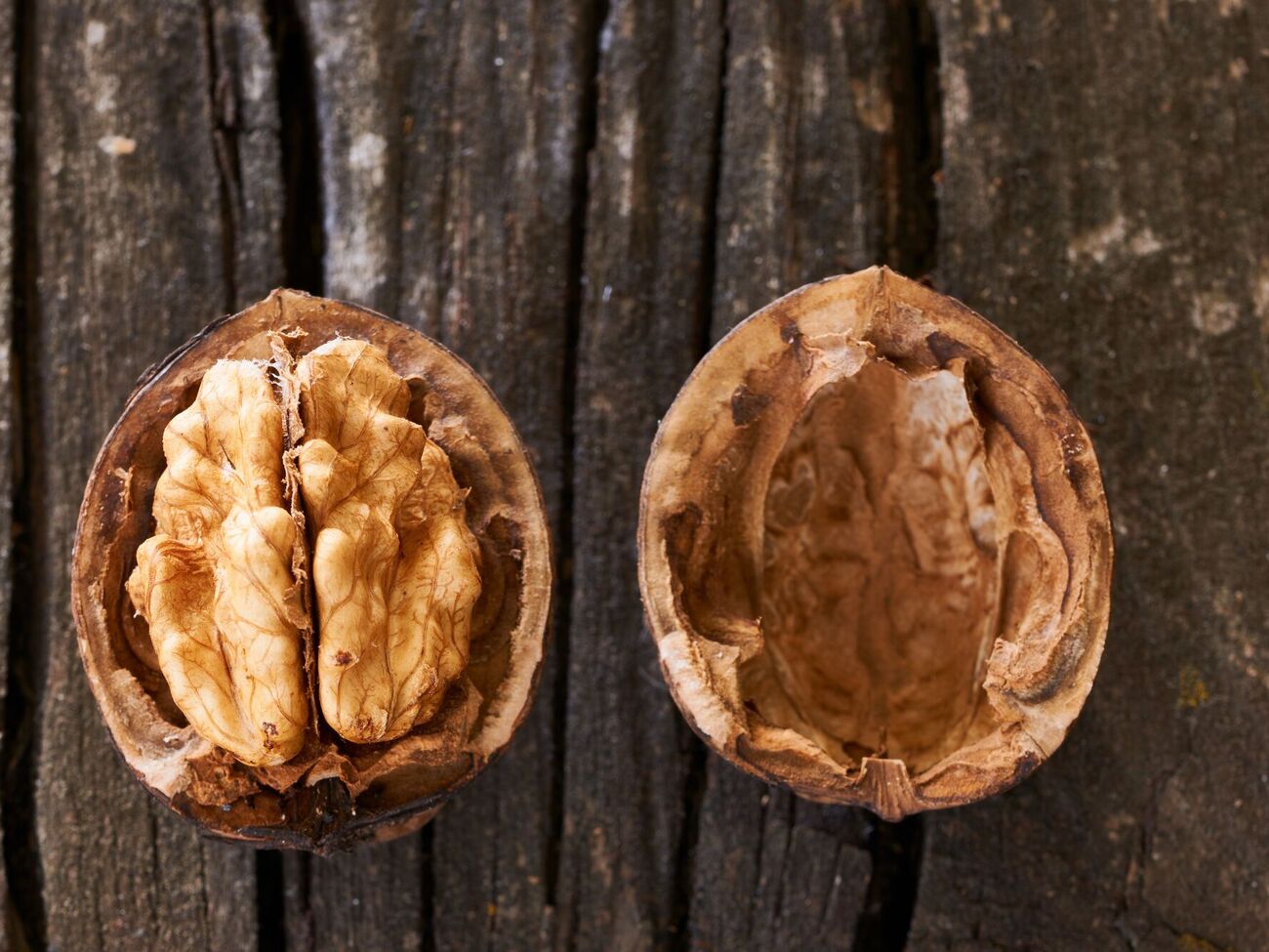 Горіхову шкаралупу на городі використовують для різноманітних цілей