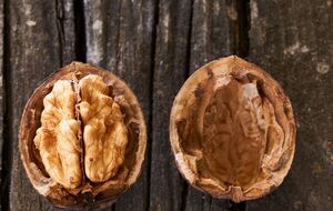 Ореховую скорлупу на огороде используют для различных целей