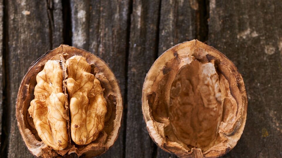 Горіхову шкаралупу на городі використовують для різноманітних цілей