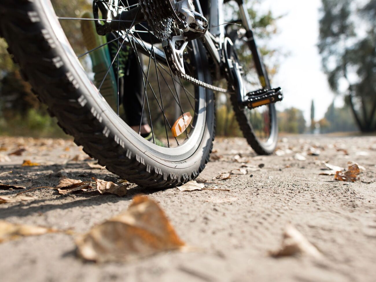 Подросток из Варшавы автобусом доехал до города Чоснув, где пересел на велосипед