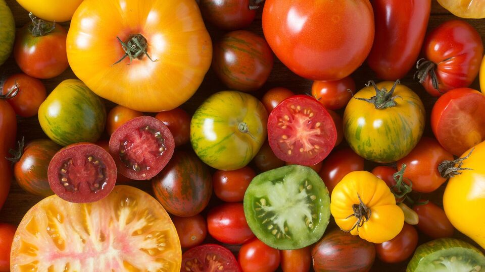 Для экономии усилий и времени можно закопать осенью целый помидор