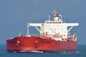 28 октября танкер Furia развернулся между ФРГ и Данией, отметили СМИ