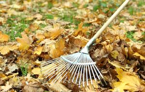 Дымом от горящих листьев можно отравиться