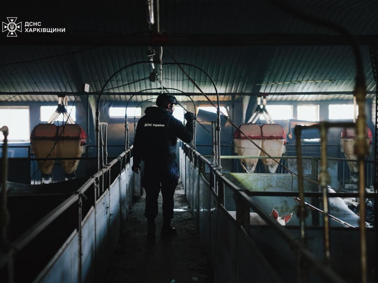 Оккупанты ударили по сельхозпредприятию