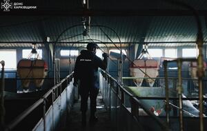 Окупанти вдарили по сільгосппідприємству