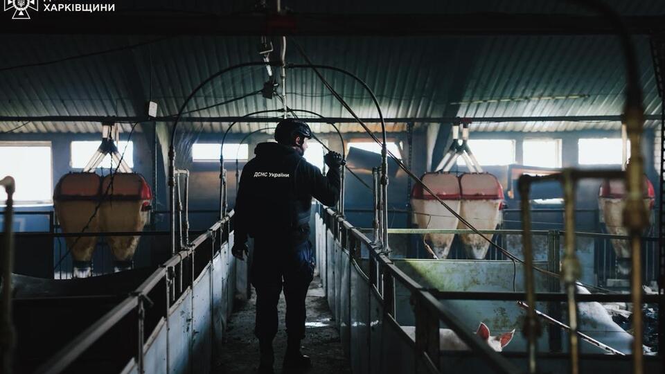 Оккупанты ударили по сельхозпредприятию