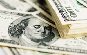 У мережі жартують, що кіт "нанявкав" собі долари