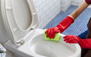 Для мытья туалета можно использовать соду и уксус