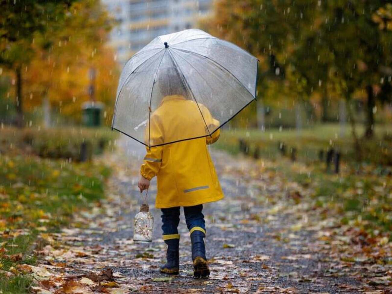 Холодную погоду прогнозируют на западе страны, а самую теплую – на востоке и юго-востоке, говорится в сообщении