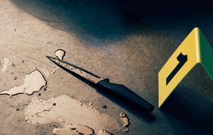 Женщина воткнула нож мужчине в грудь во время столкновения