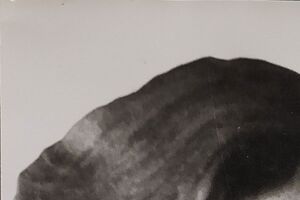 Встречу организовал Фонд Рината Ахметова