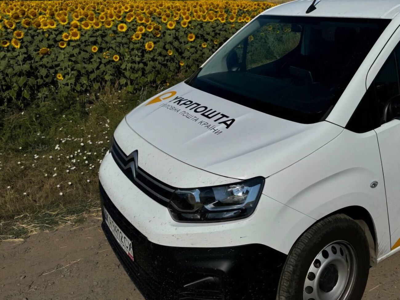 Пострадавшие – сотрудники почты