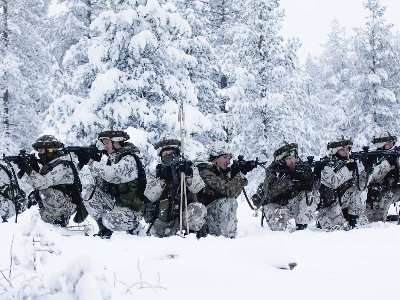 В учениях в Финляндии примут участие призывники, резервисты, кадровые военные, а также подразделения Швеции и Великобритании, сообщили в финских Сухопутных силах