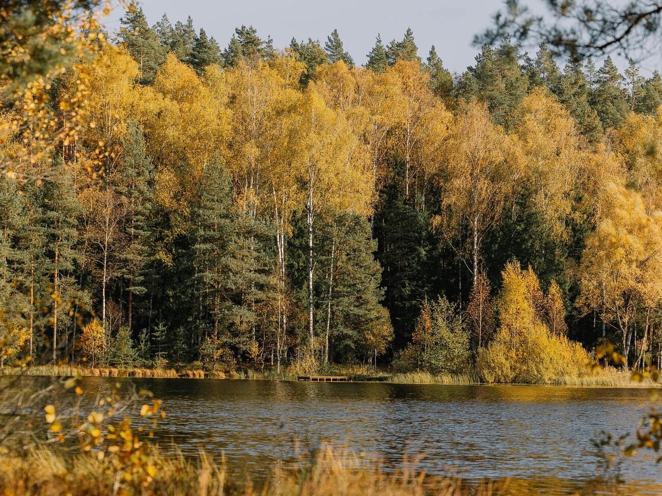 Устойчивая и теплая погода продержится до 8–9 ноября