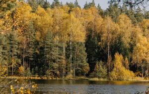 Устойчивая и теплая погода продержится до 8–9 ноября