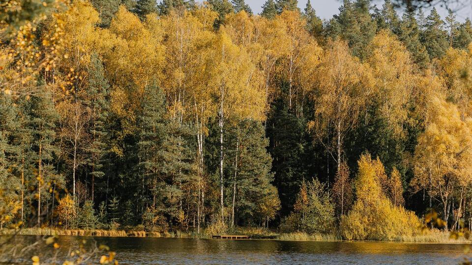 Устойчивая и теплая погода продержится до 8–9 ноября