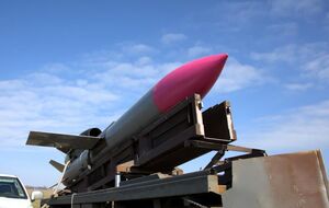 "Фламинго" считается лучшей украинской ракетой, отметило Le Figaro