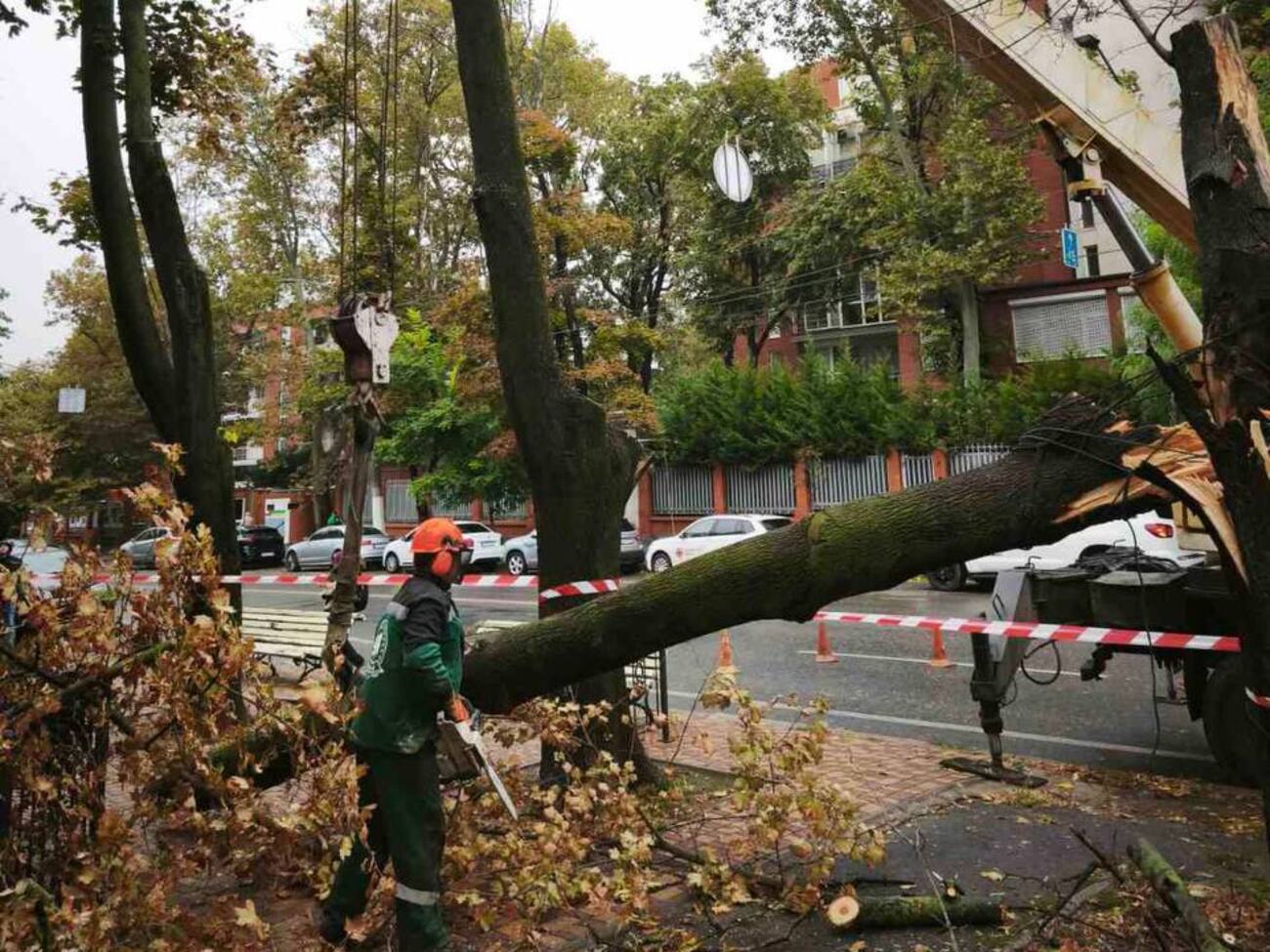 Мэрия предупредила о последствиях сильного ветра
