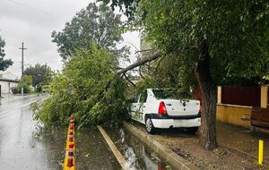 Больше всего от непогоды пострадал уезд Брашов
