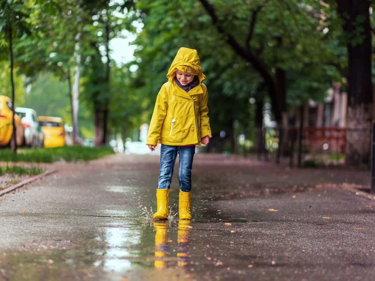 Дожди прогнозируются в большей части страны
