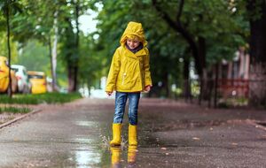 Дожди прогнозируются в большей части страны