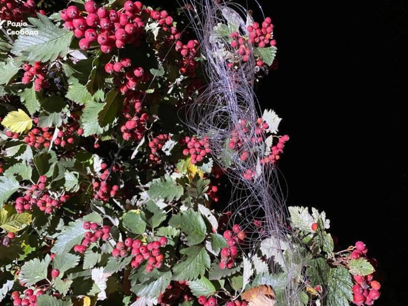 Дрон на оптоволокні залетів у Краматорськ