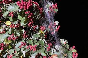 Дрон на оптоволокне залетел в Краматорск