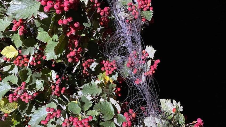 Дрон на оптоволокне залетел в Краматорск