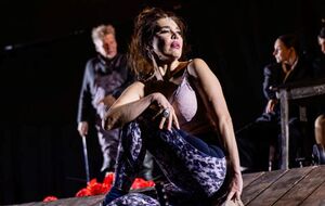 В спектакле задействованы не только актеры театральной труппы, но и приглашенные артисты из театра имени Ивана Франко