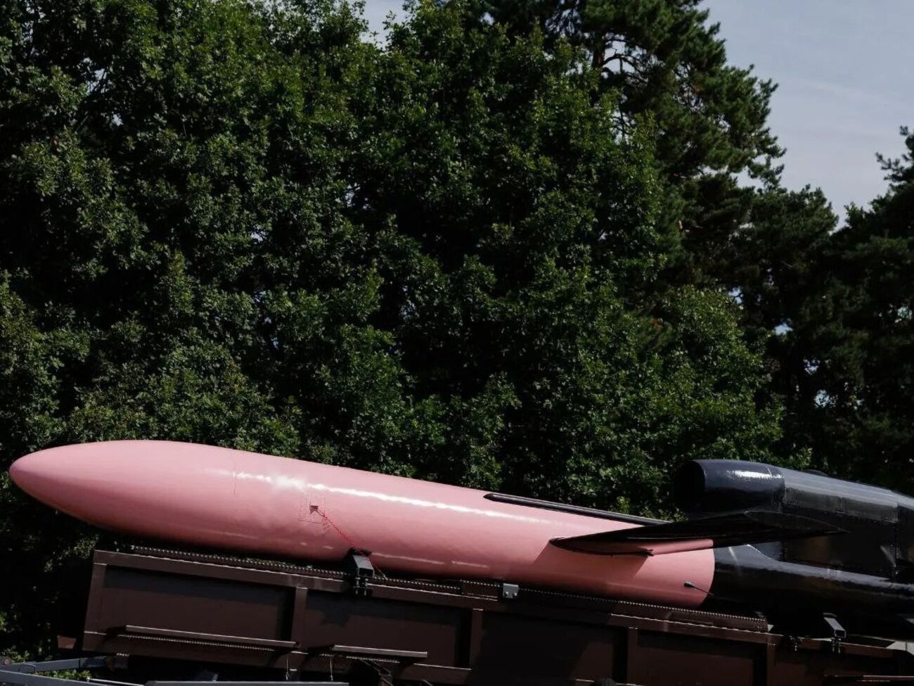 По данным The Economist, Украина выпускает по две-три "Фламинго" в день