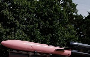 По данным The Economist, Украина выпускает по две-три "Фламинго" в день