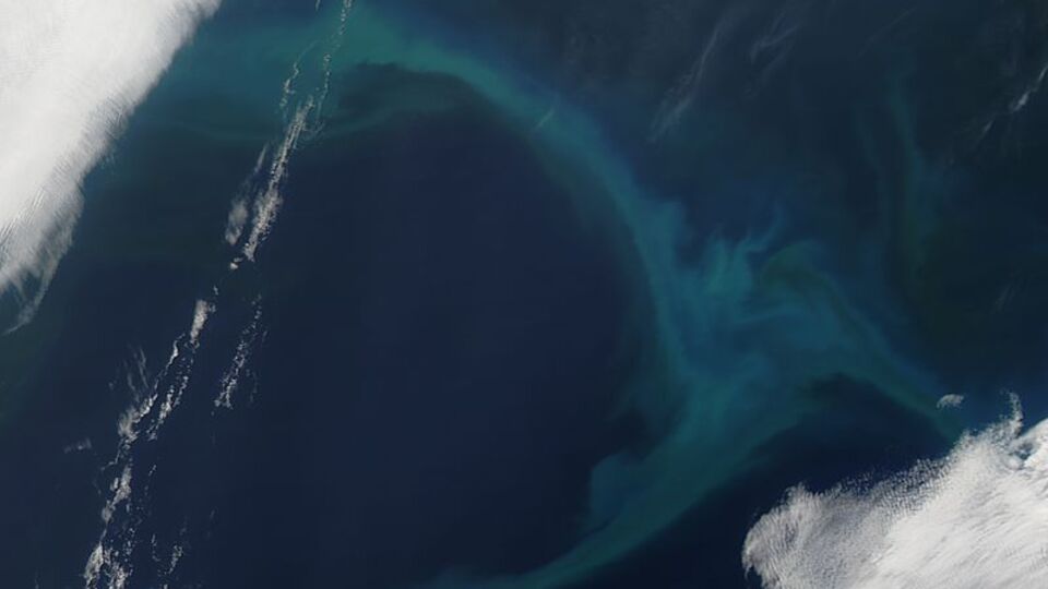 Под дном океана ученые обнаружили необычные структуры