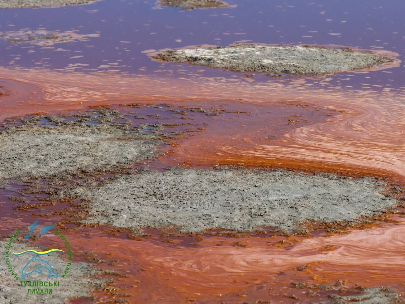Русев рассказал, что на озерах образовались гиперсолевые рассолы
