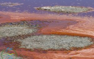 Русев рассказал, что на озерах образовались гиперсолевые рассолы