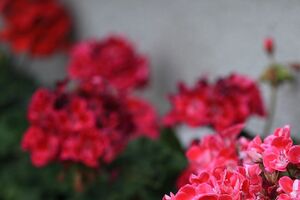 Квиткова: Осенний образ – на проверке