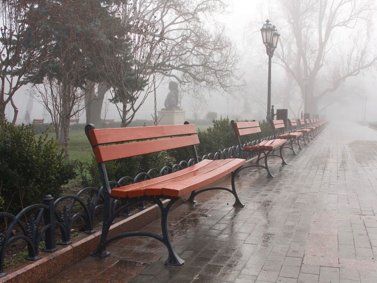 Синоптикиня розповіла, де в Україні дощитиме