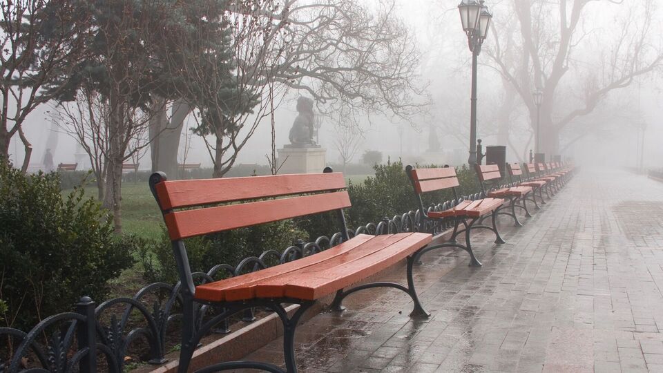 Синоптик рассказала, где в Украине будут идти дожди